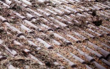 Higher Metcombe roof cleaning companies