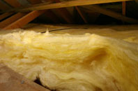Higher Metcombe pitch roof insulation